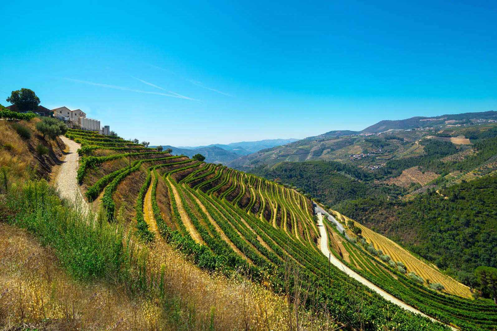 VIGNETI & AZIENDE AGRICOLE VITIVINICOLE IN VENDITA PORTOGALLO, DOURO, PORTO , TENUTE | Douro Superiore Porto, Cima Corgo, Baixo Corgo